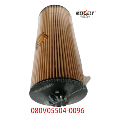 주류 OEM 080V05504-0096 SINOTRUK Howo T5G 트럭 오일 필터
