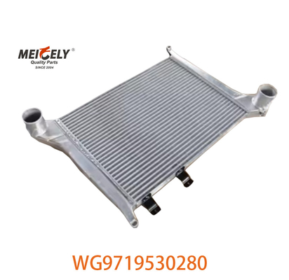 OEM WG9719530280 Howo 인터쿨러 조립 장치 WG9719530281