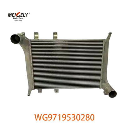 OEM WG9719530280 Howo 인터쿨러 조립 장치 WG9719530281
