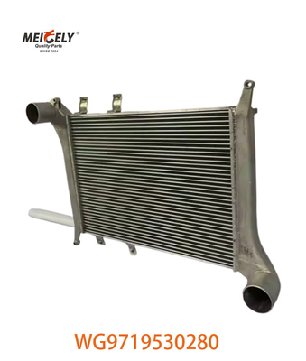OEM WG9719530280 Howo 인터쿨러 조립 장치 WG9719530281