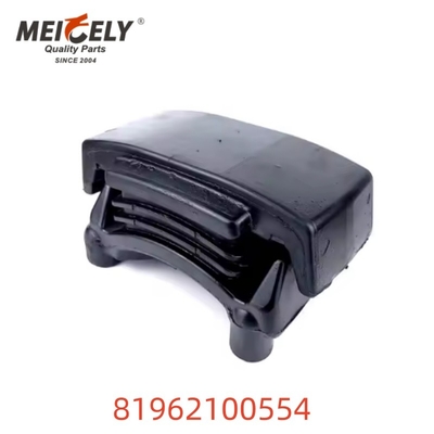 OEM 81962100554 고품질 잎 봄 장착 트럭 부품 남자