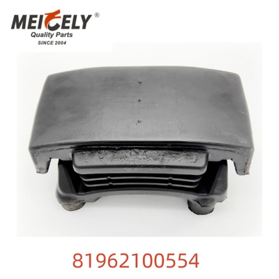 OEM 81962100554 고품질 잎 봄 장착 트럭 부품 남자