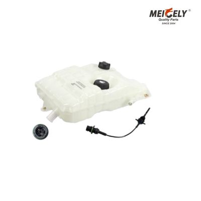 최적 냉각 5010514340 RVI를 위한 물 탱크